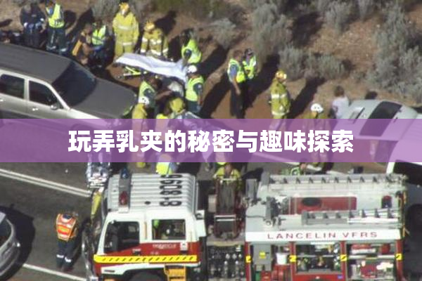 玩弄乳夹的秘密与趣味探索