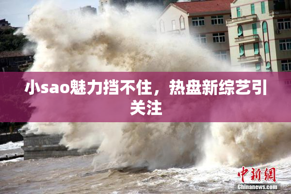 小sao魅力挡不住，热盘新综艺引关注