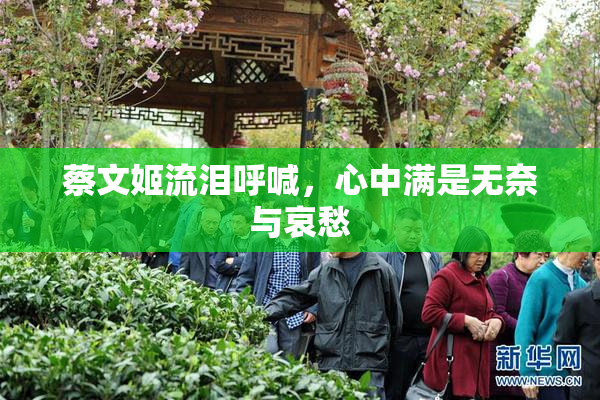 蔡文姬流泪呼喊，心中满是无奈与哀愁