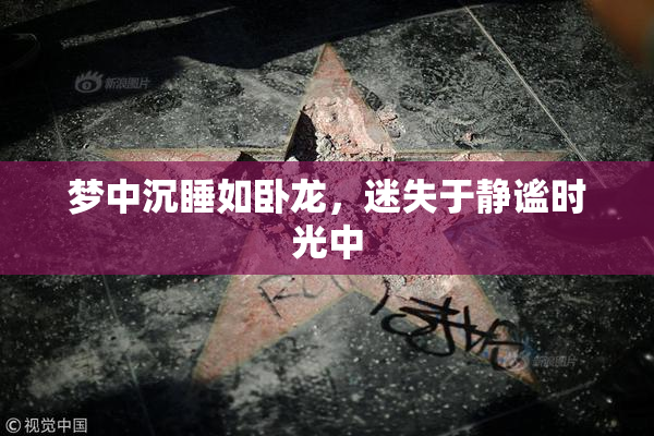 梦中沉睡如卧龙，迷失于静谧时光中
