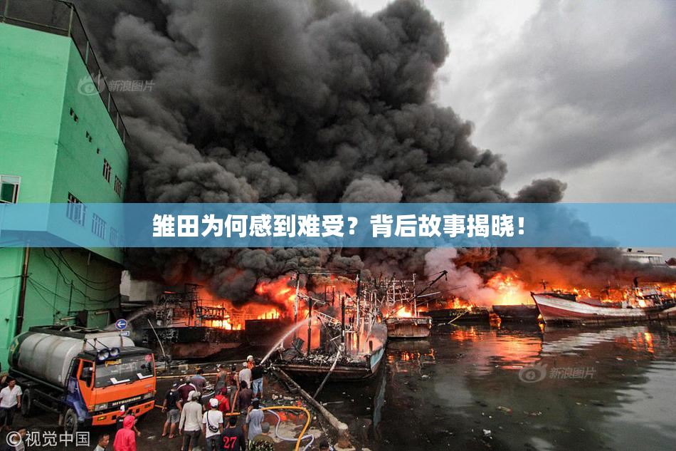 雏田为何感到难受？背后故事揭晓！