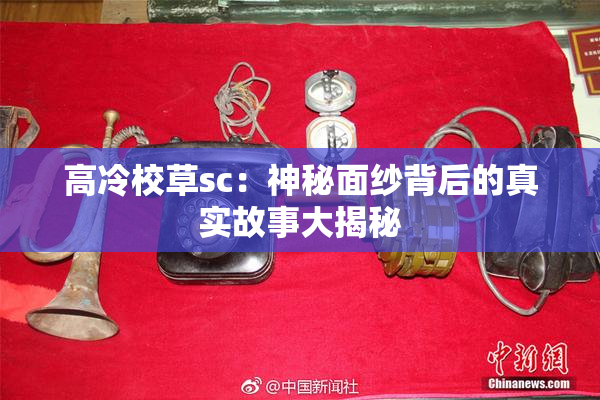高冷校草sc：神秘面纱背后的真实故事大揭秘