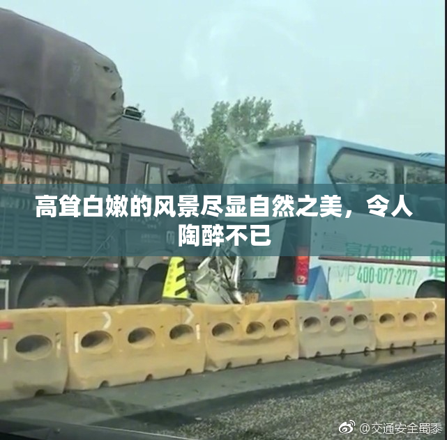 高耸白嫩的风景尽显自然之美，令人陶醉不已