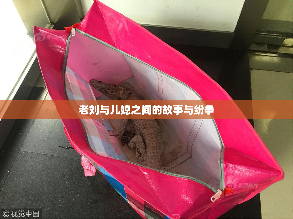 老刘与儿媳之间的故事与纷争