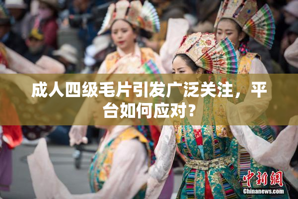 成人四级毛片引发广泛关注，平台如何应对？