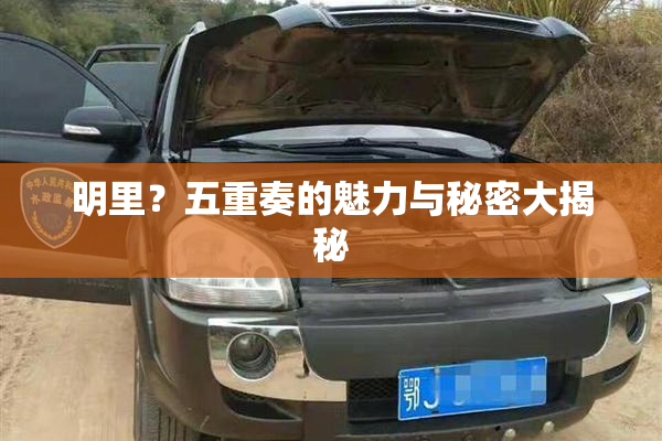明里？五重奏的魅力与秘密大揭秘