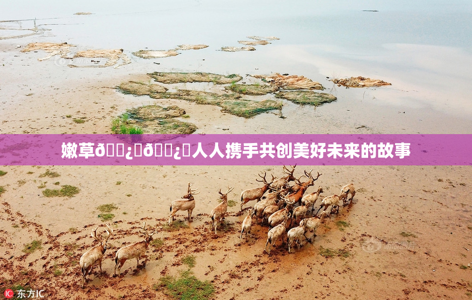 嫩草🌿‌🌿‌人人携手共创美好未来的故事