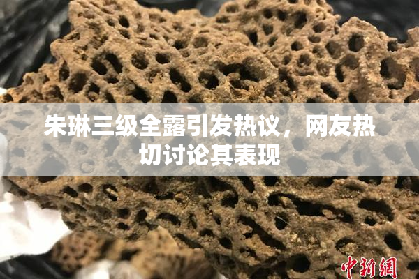 朱琳三级全露引发热议，网友热切讨论其表现