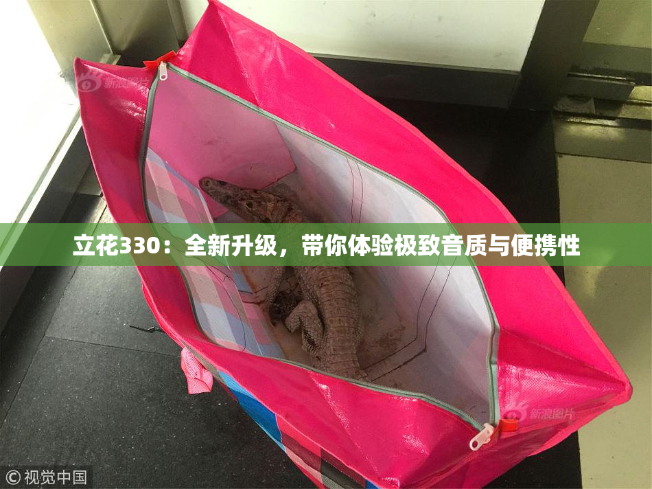 立花330：全新升级，带你体验极致音质与便携性