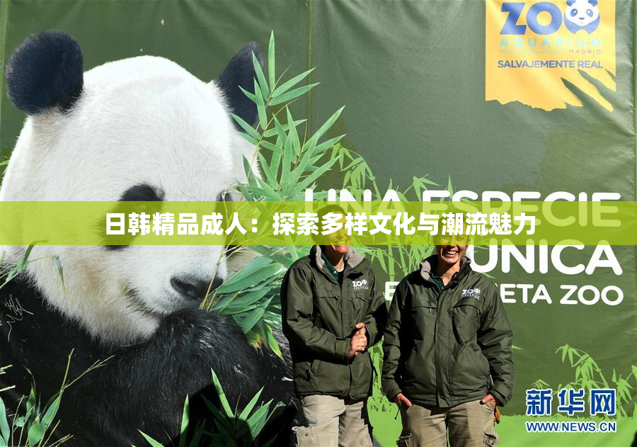日韩精品成人：探索多样文化与潮流魅力