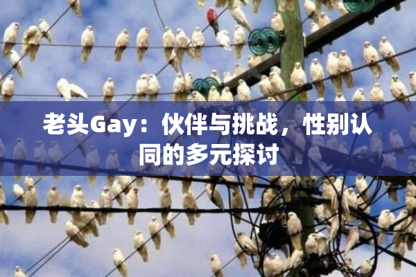 老头Gay：伙伴与挑战，性别认同的多元探讨