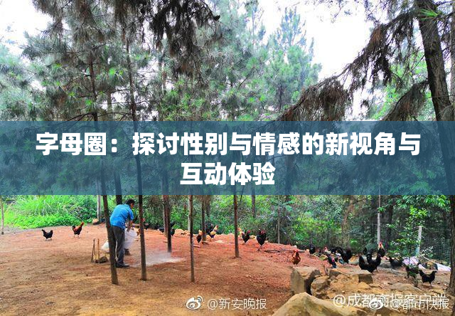 字母圈：探讨性别与情感的新视角与互动体验