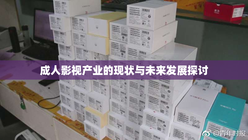 成人影视产业的现状与未来发展探讨