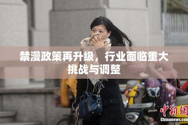 禁漫政策再升级，行业面临重大挑战与调整