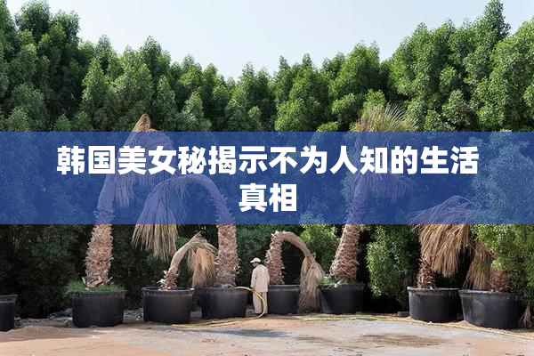 韩国美女秘揭示不为人知的生活真相