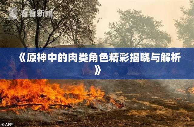 《原神中的肉类角色精彩揭晓与解析》