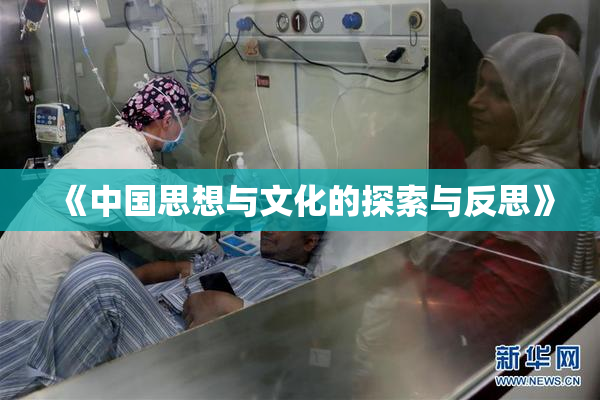 《中国思想与文化的探索与反思》