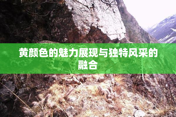 黄颜色的魅力展现与独特风采的融合