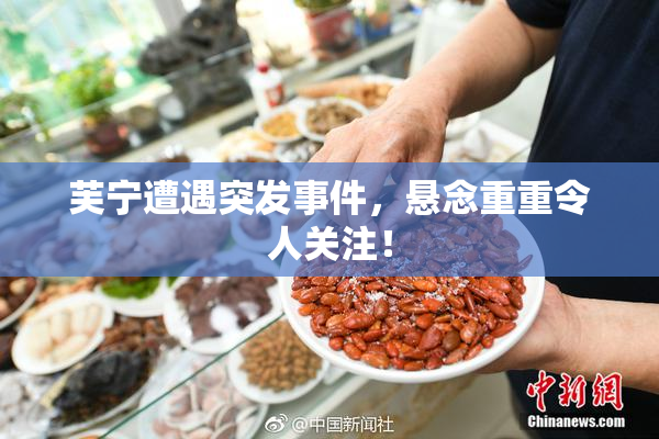 芙宁遭遇突发事件，悬念重重令人关注！