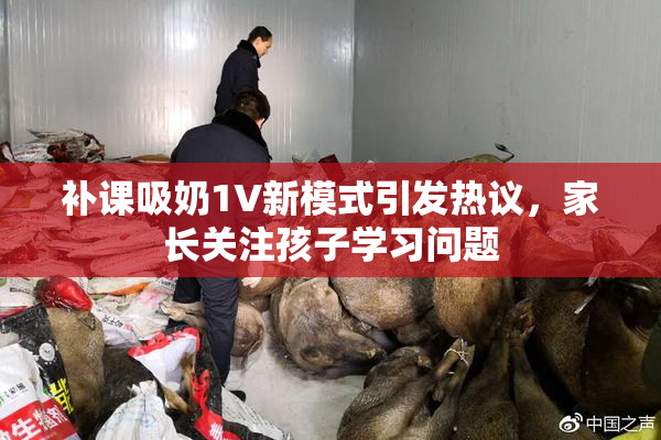 补课吸奶1V新模式引发热议，家长关注孩子学习问题