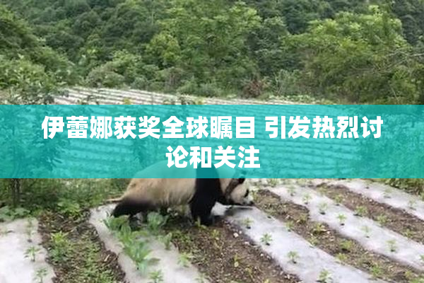 伊蕾娜获奖全球瞩目 引发热烈讨论和关注