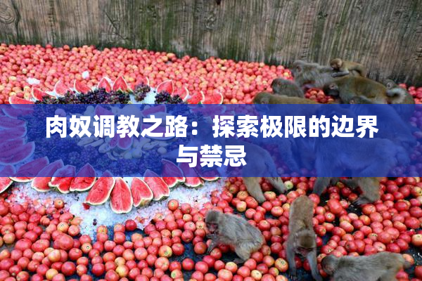 肉奴调教之路：探索极限的边界与禁忌