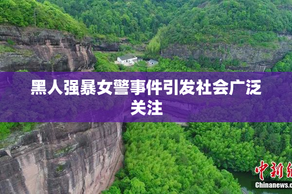 黑人强暴女警事件引发社会广泛关注