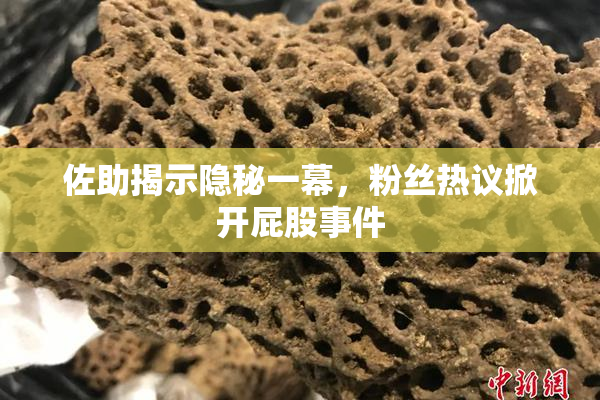 佐助揭示隐秘一幕，粉丝热议掀开屁股事件