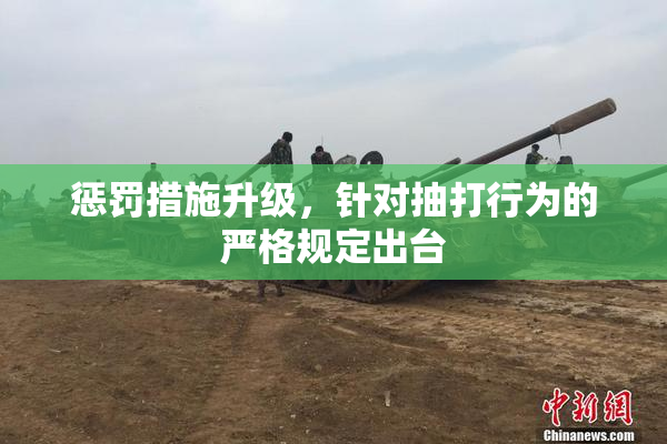 惩罚措施升级，针对抽打行为的严格规定出台