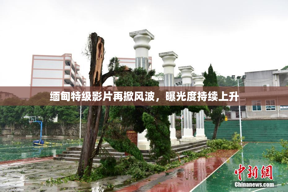 缅甸特级影片再掀风波，曝光度持续上升