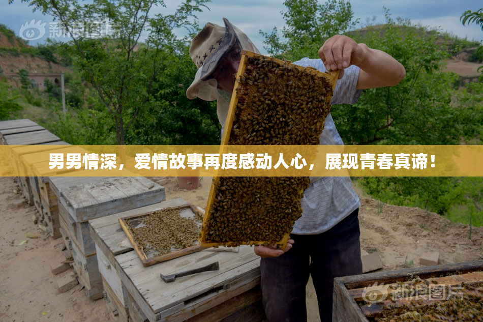 男男情深，爱情故事再度感动人心，展现青春真谛！
