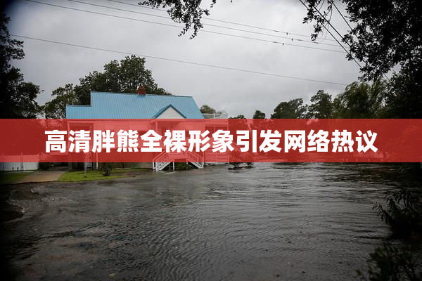 高清胖熊全裸形象引发网络热议