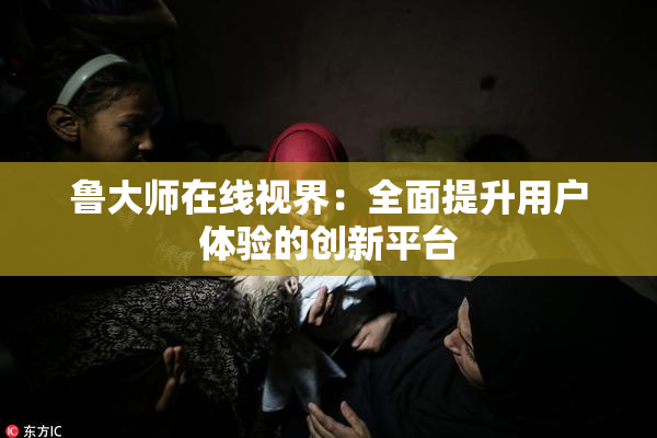 鲁大师在线视界：全面提升用户体验的创新平台