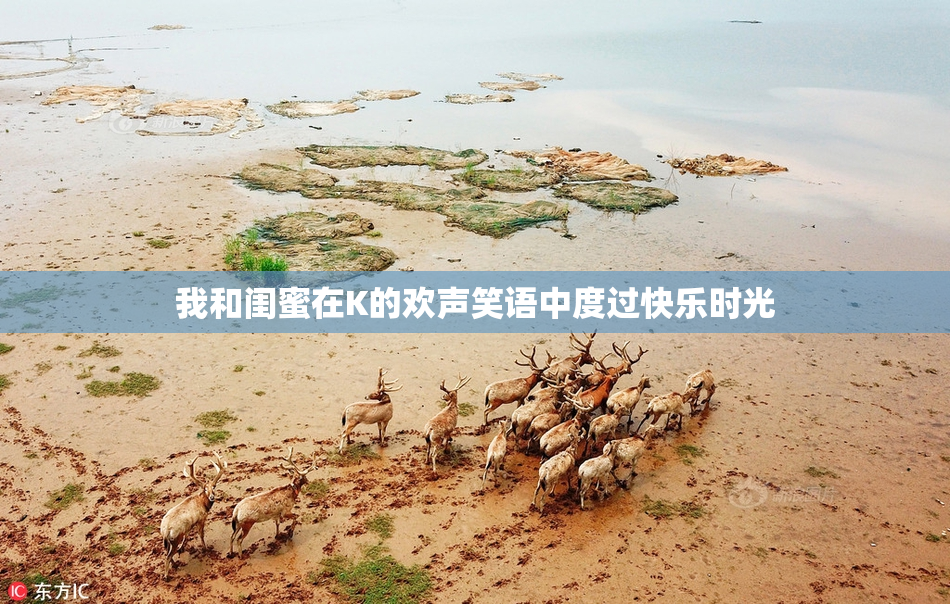 我和闺蜜在K的欢声笑语中度过快乐时光