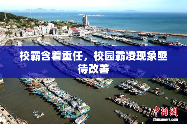 校霸含着重任，校园霸凌现象亟待改善