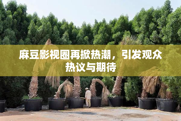 麻豆影视圈再掀热潮，引发观众热议与期待