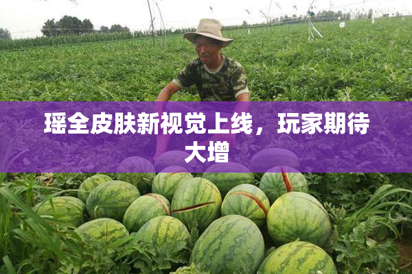 瑶全皮肤新视觉上线，玩家期待大增