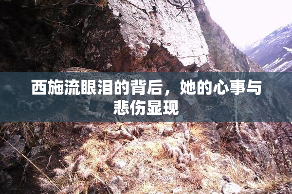 西施流眼泪的背后，她的心事与悲伤显现