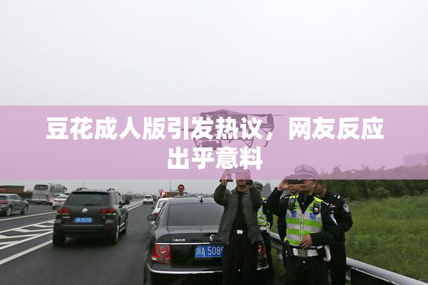 豆花成人版引发热议，网友反应出乎意料
