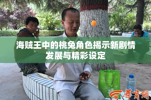 海贼王中的桃兔角色揭示新剧情发展与精彩设定