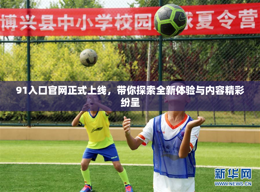 91入口官网正式上线，带你探索全新体验与内容精彩纷呈
