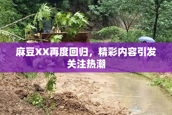 麻豆XX再度回归，精彩内容引发关注热潮