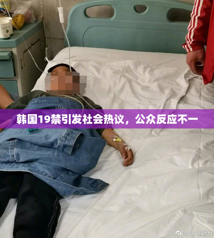 韩国19禁引发社会热议，公众反应不一