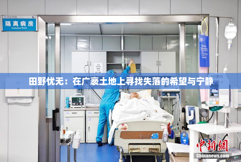 田野忧无：在广袤土地上寻找失落的希望与宁静