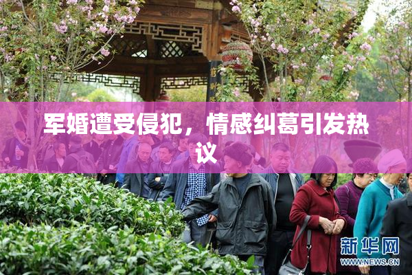 军婚遭受侵犯，情感纠葛引发热议