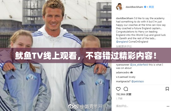 鱿鱼TV线上观看，不容错过精彩内容！