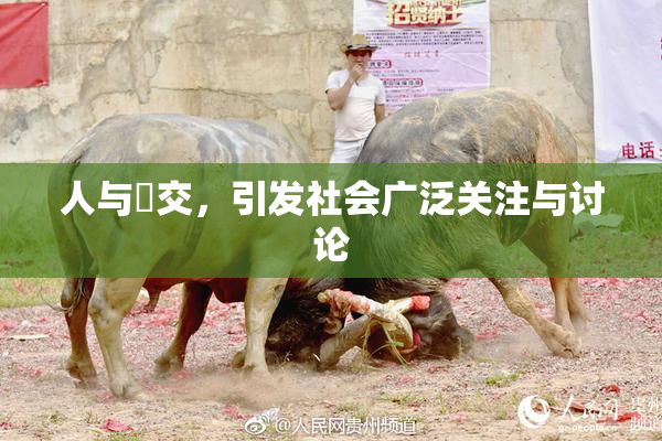 人与嘼交，引发社会广泛关注与讨论