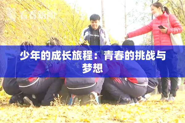 少年的成长旅程：青春的挑战与梦想