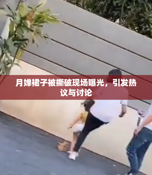 月婵裙子被撕破现场曝光，引发热议与讨论