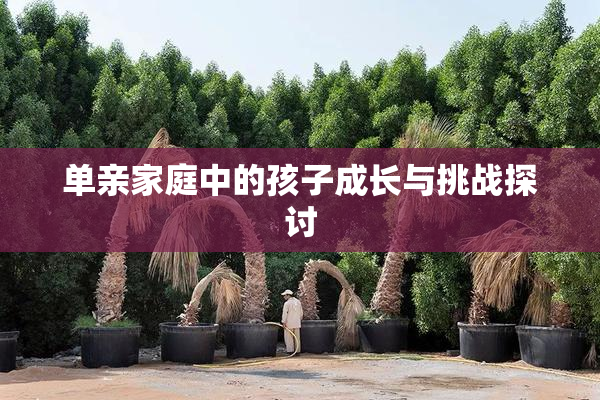 单亲家庭中的孩子成长与挑战探讨